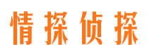 淮阳情探私家侦探公司